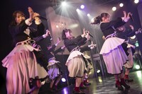 高嶺のなでしこ（Photo by MAYUMI）（Photo by MAYUMI）