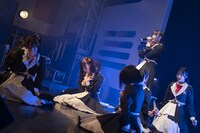 高嶺のなでしこ（Photo by MAYUMI）