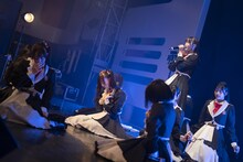 高嶺のなでしこ（Photo by MAYUMI）