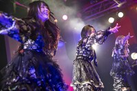 fishbowl（Photo by MAYUMI）