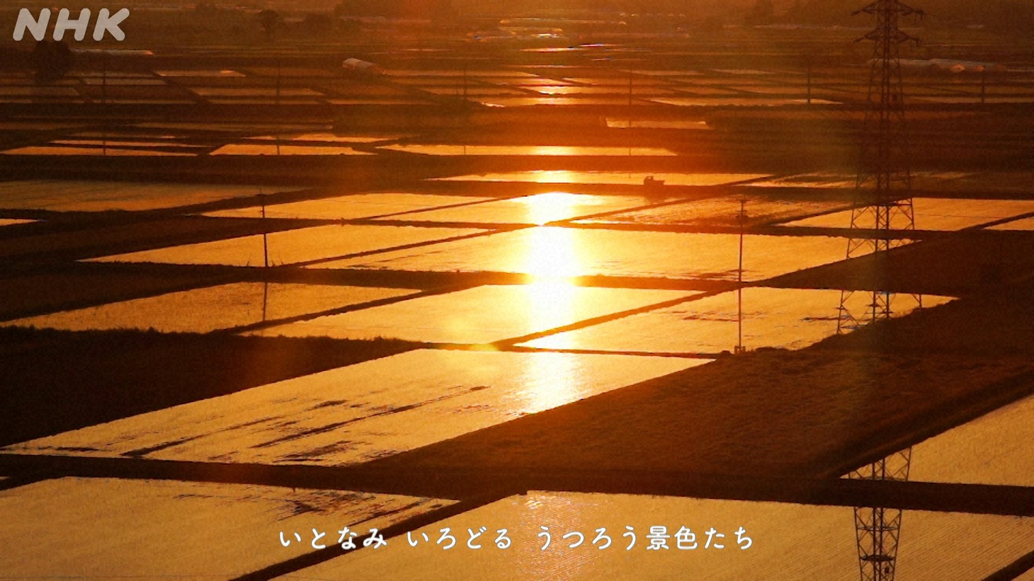 「いろどりのうた」ミュージックビデオより。（写真提供：NHK）