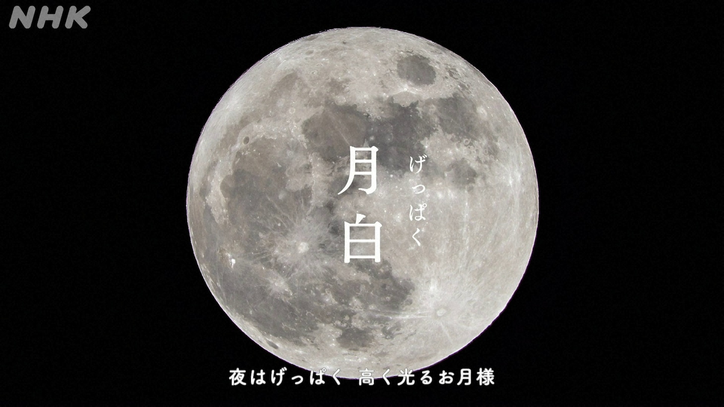 「いろどりのうた」ミュージックビデオより。（写真提供：NHK）