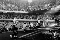 「Love Like Pop vol.24」日本武道館公演の様子。（撮影：岡田貴之）