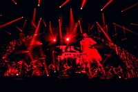 「Love Like Pop vol.24」日本武道館公演の様子。（撮影：岡田貴之）