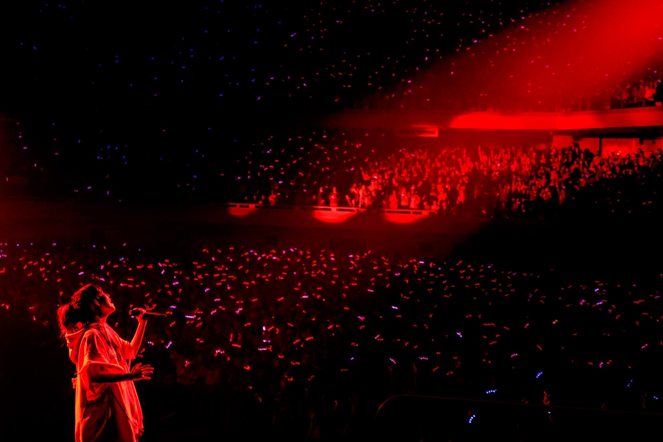 「Love Like Pop vol.24」日本武道館公演の様子。（撮影：岡田貴之）