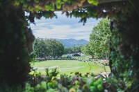 過去の「New Acoustic Camp」の様子。