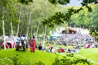 過去の「New Acoustic Camp」の様子。