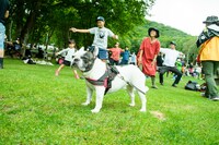 過去の「New Acoustic Camp」の様子。