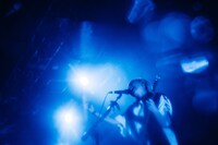 Hakubi（Photo by Kana Tarumi）