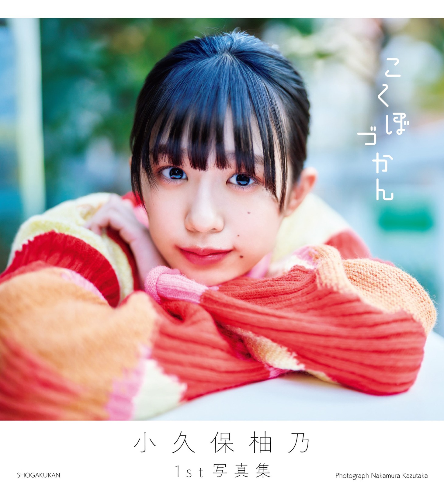 「こくぼづかん」表紙