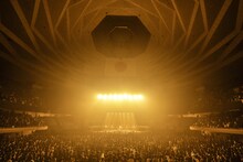 「iri LIVE at 武道館」の様子。（撮影：田中聖太郎）