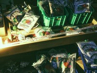 「盗」の様子。（Photo by SEIYA FUJII［W］）