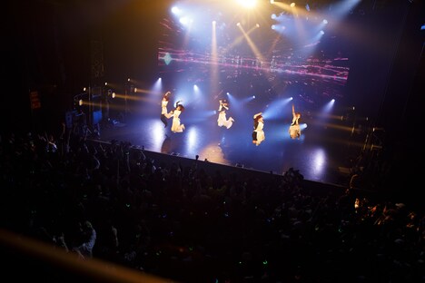 ExWHYZ（Photo by sotobayashi kenta）