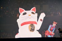 招き猫と詩羽。（撮影：興梠真穂）