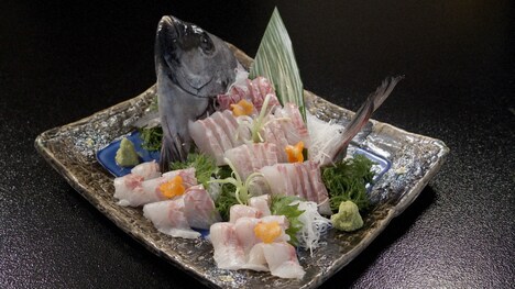 イシダイのお刺身。（写真提供：NHK）