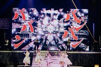 「#ババババンビ 武道館ワンマンライブ『馬鹿騒ぎ天下統一'24』」の様子。