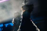 「#ババババンビ 武道館ワンマンライブ『馬鹿騒ぎ天下統一'24』」の様子。