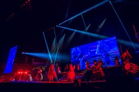 「#ババババンビ 武道館ワンマンライブ『馬鹿騒ぎ天下統一'24』」の様子。