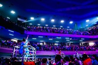 「#ババババンビ 武道館ワンマンライブ『馬鹿騒ぎ天下統一'24』」の様子。