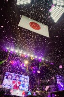 花吹雪が舞う日本武道館。