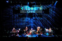 竹内アンナ「Billboard Live Tour 2024」の様子。（Photo by Kazushi Hamano）