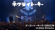 ネクライトーキー「あべこべ」ライブ映像より。