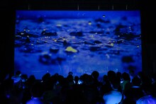 雨宿り1stワンマンライブ「傘をなくして」の様子。（撮影：江藤はんな［SHERPA+］）