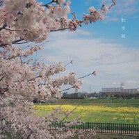 渡ケント「散歩道」配信ジャケット