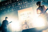 ハニカム（撮影：ヤマサキセイタロウ）