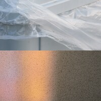 Laura day romance「透明 / リグレットベイビーズ」配信ジャケット