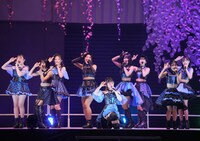 つばきファクトリー