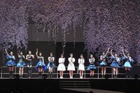 つばきファクトリー