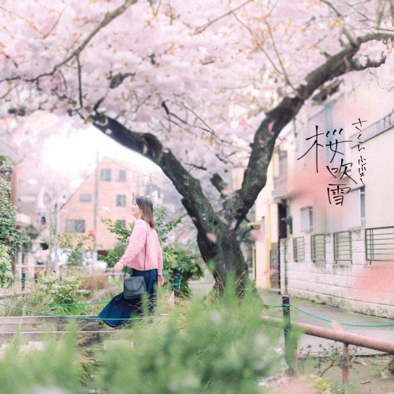 とけた電球「桜吹雪」配信ジャケット