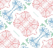 ワールドスタンダード「ASAGAO」ジャケット