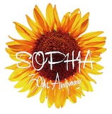 SOPHIA 30周年ロゴ
