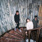チリヌルヲワカ、新作「バイヲロジー」携え「バイヲTOUR」開催
