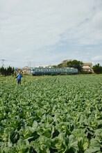 浜野謙太（在日ファンク）が「ギョーザ旅」で銚子へ。「銚子はおい“C”」のポーズをしている。（撮影：伊藤菜々子）