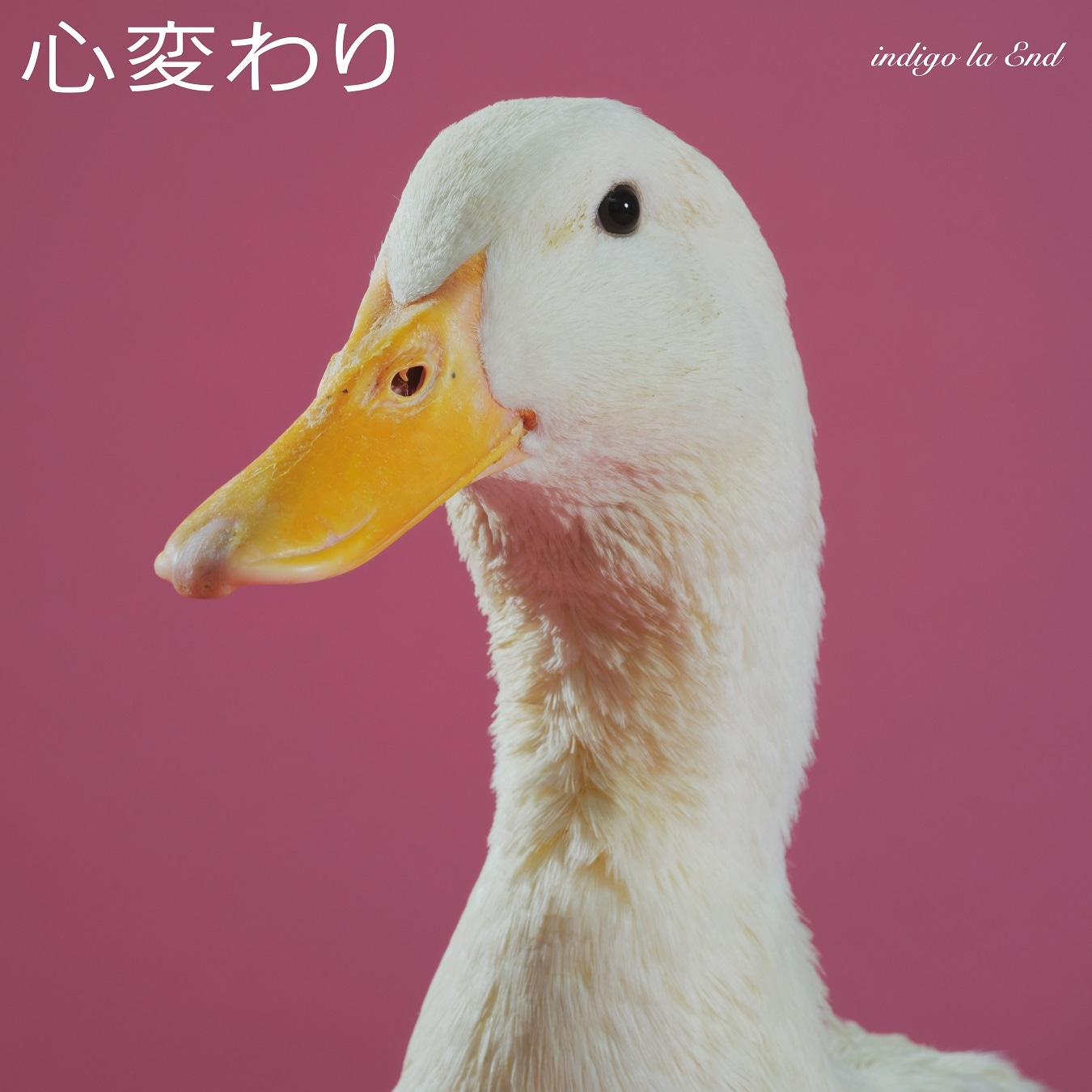 indigo la End「心変わり」配信ジャケット