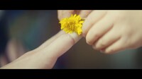 ソナーポケット「花」ミュージックビデオより。