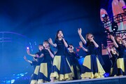 日向坂46「5回目のひな誕祭」の様子。（撮影：上山陽介）