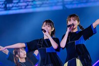 日向坂46「5回目のひな誕祭」の様子。（撮影：上山陽介）