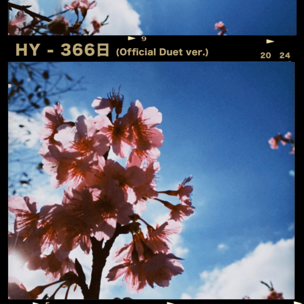 HY「366日（Official Duet ver.）」配信ジャケット - HY「366日