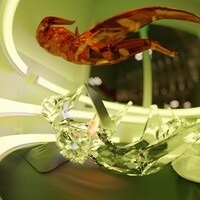 Till Yawuh「Mango Cookies」配信ジャケット