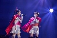 伊達花彩と桜ひなの。（提供：スターダストプロモーション）