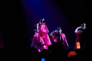 いぎなり東北産「2024春ツアー TOHOKU-SAN EXPO」最終公演の様子。（提供：スターダストプロモーション）