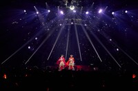 伊達花彩と桜ひなの。（提供：スターダストプロモーション）