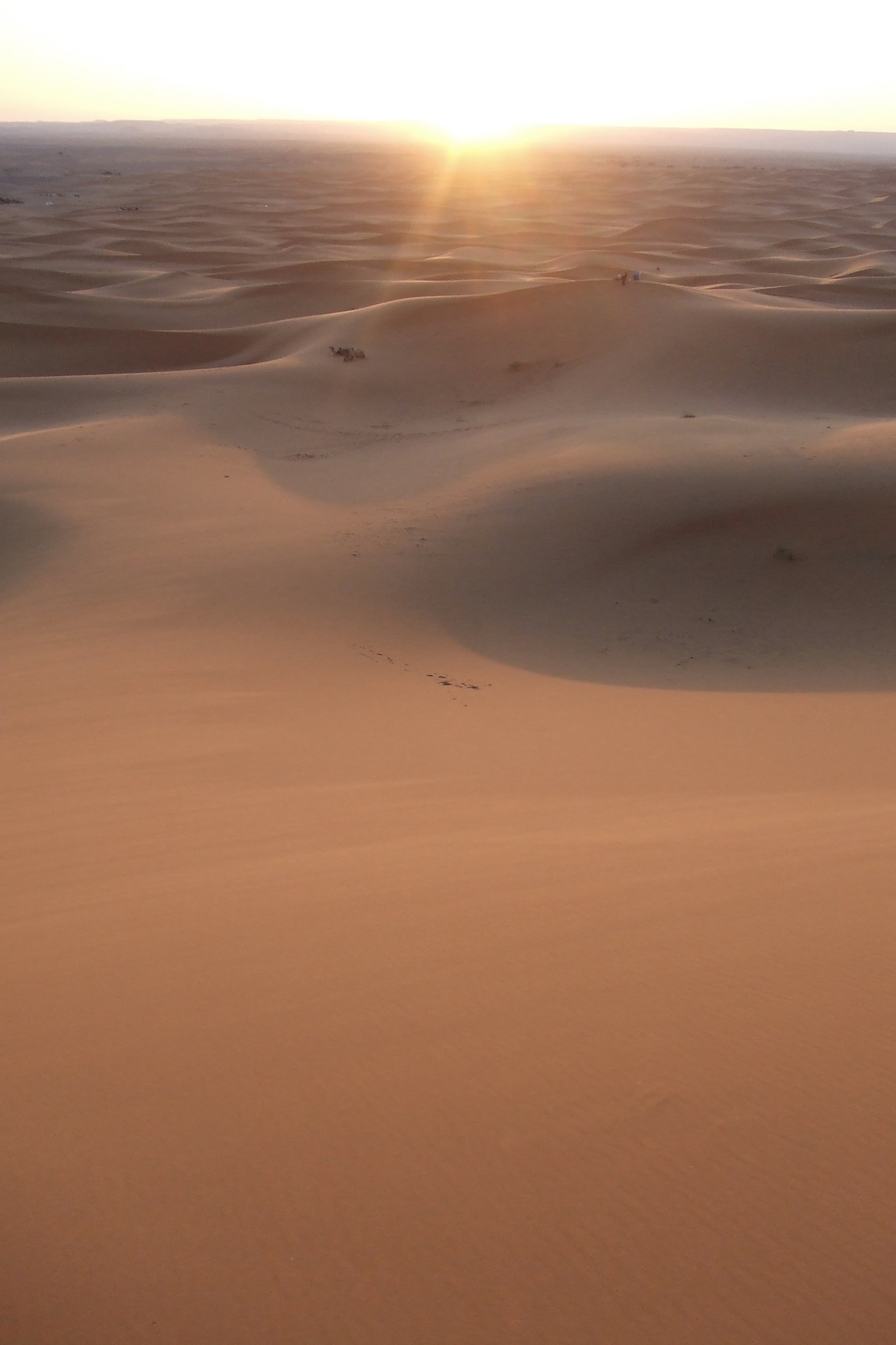 モロッコ・サハラ砂漠の朝日。