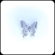 Tohji「Phenomeno」配信ジャケット