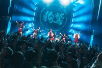 「INUWASI LIVE TOUR 2024〝狗鷲〟」ファイナル公演の様子。（撮影：真島洸）