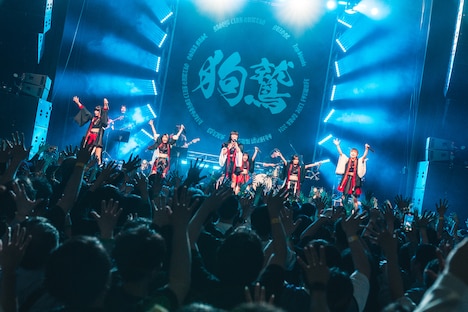 「INUWASI LIVE TOUR 2024〝狗鷲〟」ファイナル公演の様子。（撮影：真島洸）